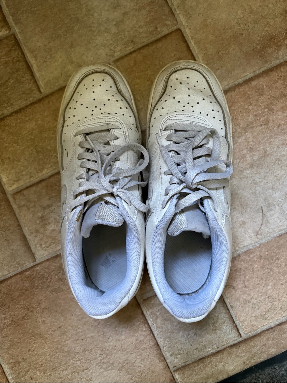 Nike White Low-Top Lace-Up Sneakers